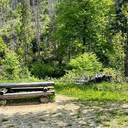 Resort Na Dolinie Bukowina Tatrzanska