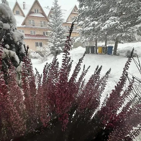 Na Dolinie *