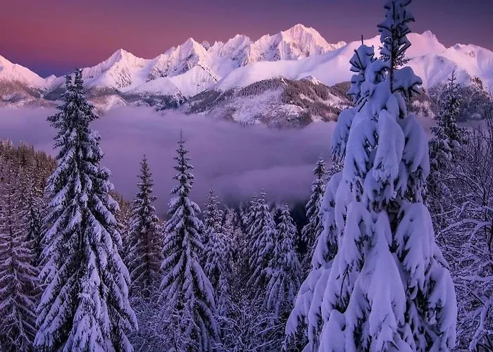 Na Dolinie Ośrodek wypoczynkowy